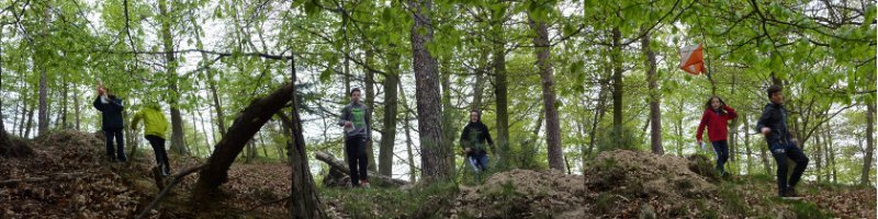 Suche nach dem Posten im Wald